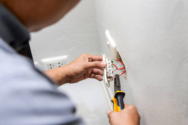 Best Electric Panel Repair  in Pasadena Hills, FL
